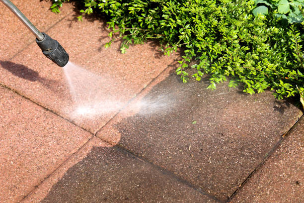 Best Pressure Washing Patio  in Bristol, TN